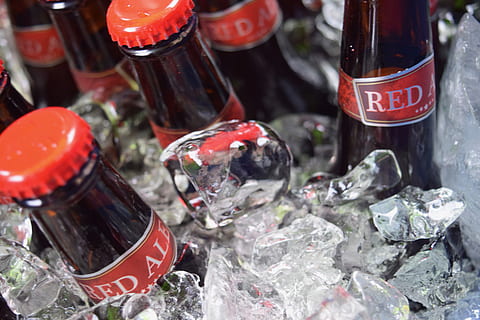 beer, close-up, bottle, indoors, no people, transparent, choice, container, studio shot, group of objects, variation, glass - material, healthcare and medicine, food and drink, crystal, large group of objects, nature, red, drink, extreme close-up, solid, glass, 5K, CC0, public domain, royalty free