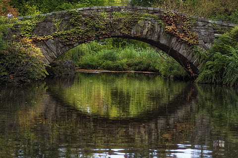 Fluss tagsüber, Wasser, draußen, Natur, Teich, Gebäude, Niederländisch, Gapstow, Park, ny, Vereinigte Staaten, New York, Gapstow-Brücke, Vereinigte Staaten von Amerika, Liebesbrücke, Brücken, 59th street, Brücke, Zentralpark, Wasserteiche, Kanal, Reflexion, Pflanze, See, Ufergegend, keine Leute, Baum, Ruhe, Schönheit in der Natur, Tag, Wachstum, ruhige Szene, grüne Farbe, Verbindung, Szenen - Natur, Bogen, die Architektur, Brücke - künstliche Struktur, Bogenbrücke, 5K, CC0, gemeinfrei, lizenzfrei