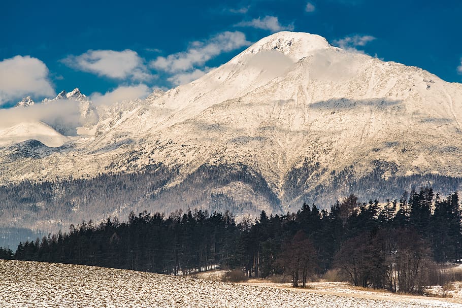 verde, alberi di pino, montagna innevata, giorno, montagna, natura, all'aperto, albero, abete, pianta, abies, catena montuosa, ghiaccio, la neve, conifera, picco, inverno, ghiacciaio, alto, Monti Tatra, foresta, strada, strada sterrata, ghiaia, bellezza nella natura, scenics - natura, cielo, scena tranquilla, nuvola - cielo, la tranquillità, temperatura fredda, ambiente, scena non urbana, paesaggio, terra, nessuno, picco di montagna, Pino, formazione, 4K