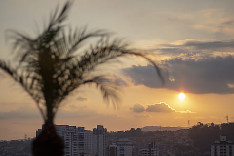 palmera, Dom, puesta de sol, nubes, paisaje de nubes, paisaje, edificio, ciudad, urbano, arquitectura, cielo, exterior del edificio, estructura construida, nube - cielo, naturaleza, paisaje urbano, árbol, nadie, belleza en la naturaleza, planta, color naranja, clima tropical, Distrito residencial, al aire libre, 5K, CC0, dominio público, libre de derechos