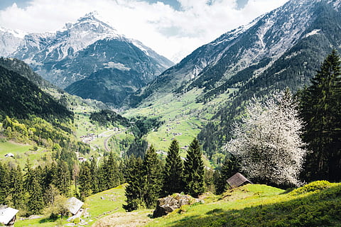 albero, epico, sole, luce del sole, luce, canone, sony, dino reichmuth, unsplash, fotografo, fotografia, vista, panorama, mountainscape, paesaggio, alpino, alp, valle, foresta, Svizzera, montagna, scenics - natura, pianta, bellezza nella natura, natura, cielo, scena tranquilla, catena montuosa, scena non urbana, la tranquillità, ambiente, crescita, giorno, nessuno, nuvola - cielo, colore verde, terra, struttura costruita, all'aperto, picco di montagna, 8K, CC0, dominio pubblico, privo di copyright