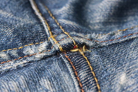 blau gewaschene Jeans-Hose, abstraktes Muster, bekleidung, Hintergrund, Blau, Segeltuch, Farbe, Zusammensetzung, Baumwolle, Denim, Design, Detail, Mode, horizontal, Jeans, Makro, niemand, Hose, Muster, Fotografie, Tasche, Naht, Nähen, Stich, Textil-, Textur, lebendige Farbe, tragen, Garn, Tiere in freier Wildbahn, Tierwelt, wirbellos, Nahansicht, ein Tier, selektiver Fokus, Legere Kleidung, Insekt, Tag, keine Leute, Tierkörperteil, draußen, Körperteil, 4K, CC0, gemeinfrei, lizenzfrei