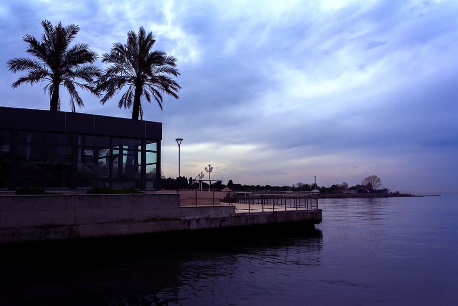 palma, mar, nubes, agua, cielo, nube - cielo, arquitectura, árbol, estructura construida, palmera, clima tropical, naturaleza, exterior del edificio, reflexión, transporte, puesta de sol, planta, al aire libre, muelle, silueta, frente al mar, Puerto, 4K