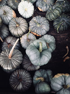 forskellige squashes, friskhed, mad og drikke, ingen mennesker, velvære, sund kost, mad, stilleben, grøntsag, stor gruppe af objekter, høj vinkel visning, direkte over, fuld ramme, overflod, baggrunde, tæt på, valg, variation, indendørs, ingrediens, rå fødevarer, 2K, CC0, offentligt domæne, royaltyfrie