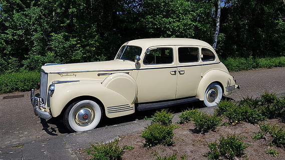 Packard, viejo contador de tiempo, coche, retro, automotor, Coche clásico, Packard uno y veinte, carro antiguo, carro viejo, coche americano, clásico, transporte, árbol, planta, modo de transporte, vehículo terrestre, Vehículo de motor, día, naturaleza, la carretera, crecimiento, estacionario, nadie, viaje, estacionamiento, estilo retro, al aire libre, vista lateral, el color blanco, 4K, CC0, dominio público, libre de derechos