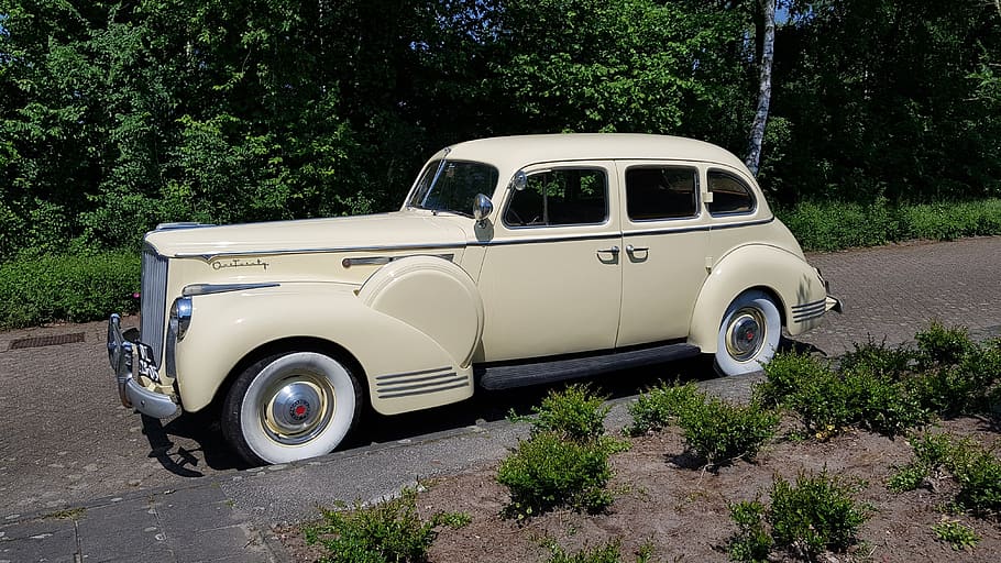 packard, oldtimer, cotxe, retro, automoció, cotxe clàssic, packard un-vint, cotxe antic, cotxe americà, clàssic, transport, arbre, planta, manera de transport, vehicle terrestre, automòbil, dia, naturalesa, carretera, creixement, estacionari, cap gent, viatjar, aparcament, estil retro, a l'aire lliure, vista lateral, Color blanc, 4K