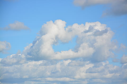 white clouds, clouds, panoramic views, cloud cirrus, cirro-cumulus, nimbostratus, cirro-stratus, altocumulus, blue, white, cloud, blue sky, environment, atmosphere, blue sea, cloud - sky, sky, tranquility, beauty in nature, scenics - nature, day, no people, tranquil scene, nature, low angle view, outdoors, backgrounds, white color, idyllic, full frame, cloudscape, fluffy, heaven, meteorology, 5K, CC0, public domain, royalty free