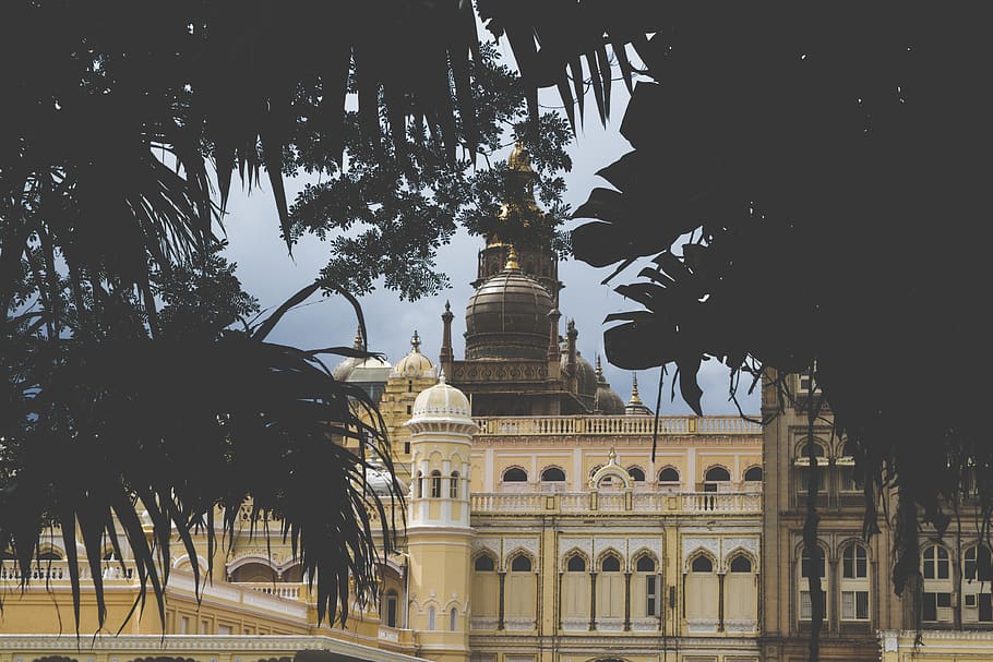 Índia, mysuru, arquitectura, exterior de l'edifici, estructura construïda, arbre, planta, destinacions de viatge, naturalesa, ciutat, el passat, història, cel, turisme, clima tropical, cap gent, viatjar, Palmera, a l'aire lliure, edifici, vista d’angle baix, dia, columna arquitectònica, 4K