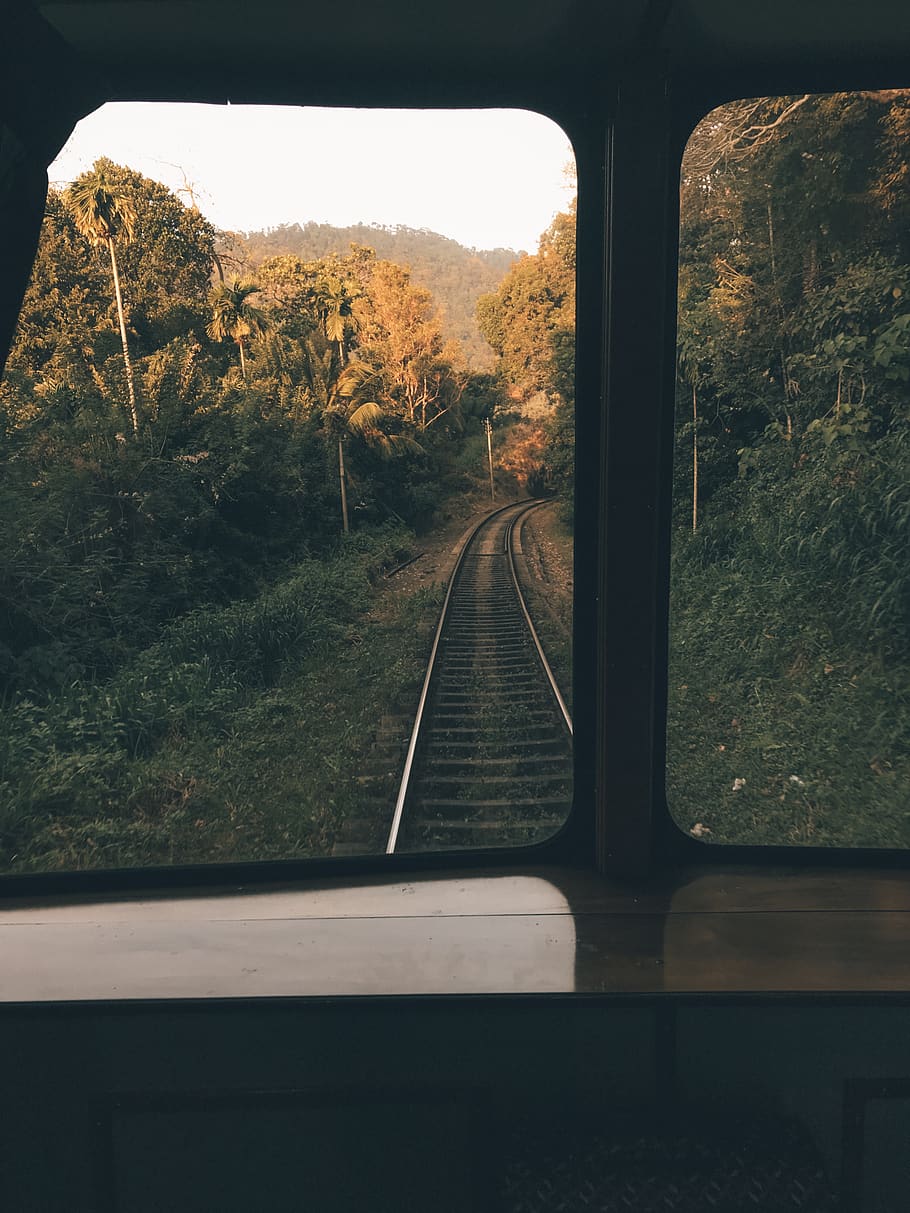 rails de tren, pista de tren, ferrocarril, rail, transport, planta, arbre, carretera, Carretera bruta, grava, samarreta, roba, a l'aire lliure, naturalesa, vestit, moda, vestit de nit, túnica, pissarra, monorail, transport per ferrocarril, pista, vies del ferrocarril, manera de transport, vidre - material, cap gent, transparent, viatjar, transport públic, dia, tren, interior del vehicle, finestra, el camí a seguir, muntanya, tren - vehicle, 4K