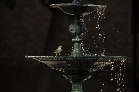 natura, fonte, terapia, acqua, movimento, nessuno, arte e artigianato, Fontana, spruzzi, avvicinamento, far cadere, spruzzatura, metallo, scultura, concentrarsi sulle conoscenze acquisite, creatività, architettura, all'aperto, rappresentazione, giorno, mestiere, acqua corrente, bicchiere, acqua che cade, 4K, CC0, dominio pubblico, privo di copyright
