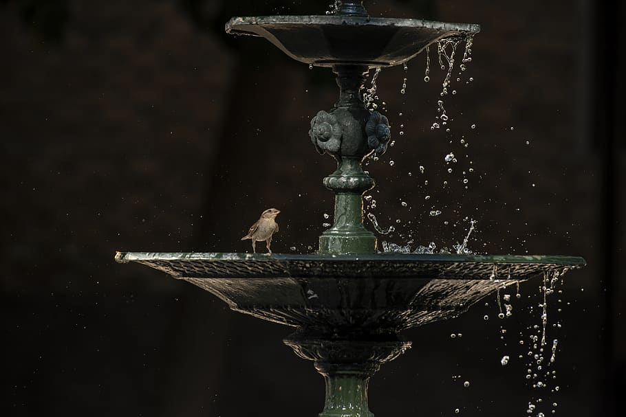 natura, fonte, terapia, acqua, movimento, nessuno, arte e artigianato, Fontana, spruzzi, avvicinamento, far cadere, spruzzatura, metallo, scultura, concentrarsi sulle conoscenze acquisite, creatività, architettura, all'aperto, rappresentazione, giorno, mestiere, acqua corrente, bicchiere, acqua che cade, 4K