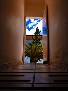 Flur, Vorderseite, Palme, Wolken, Tür, leeren, Fußboden, drinnen, Innerhalb, Licht, Froschperspektive, Zimmer, Himmel, Baum, Wand, die Architektur, Pflanze, keine Leute, gebaute Struktur, Natur, Fenster, Tag, Gebäude, Wandbau - Funktion, Wachstum, wolke - himmel, Sonnenlicht, Topfpflanze, Fliesenboden, 4K, CC0, gemeinfrei, lizenzfrei