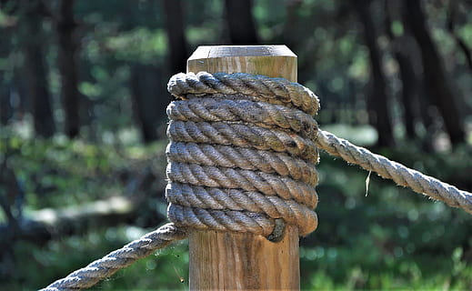 cadena, node, peg, corda, bosc, centrar-se en primer pla, dia, arbre, metall, primer pla, material de fusta, força, planta, naturalesa, cap gent, a l'aire lliure, terra, lligat, publicació, connexió, pol, rovellat, patró, post de fusta, 2K, CC0, domini públic, lliure de regalies