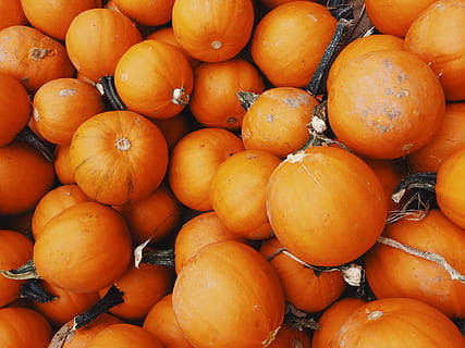 squash lot, plantă, legume și fructe, floră, alimente, fruct, grapefruit, portocale, fruct citric, dovleac, vegetal, suc de fructe, Statele Unite, ciorba leonard, Norwalk, curmal japonez, castron, mancare si bautura, mâncat sănătos, culoare portocalie, prospeţime, bunăstare, cadru complet, fundaluri, abundenţă, grup mare de obiecte, piaţă, de vânzare, nici o persoana, stand de piață, zi, natură moartă, vedere în unghi mare, a închide, în aer liber, copt, 4K, CC0, domeniu public, fără drepturi de autor