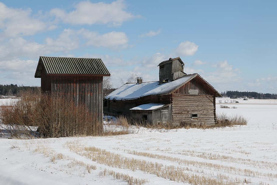 lade, vinter, gamle bygning, sne, bygget struktur, kold temperatur, bygning udvendig, arkitektur, bygning, himmel, hus, Mark, jord, sky - himmel, natur, landbrugsbygning, landskab, dag, ingen mennesker, miljø, udendørs, sommerhus, kabine, 5K