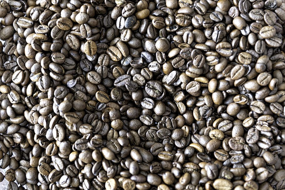 ristede kaffebønner, java bønner, rig smag, rig aromatisk, mad og drikke, mad, overflod, fuld ramme, friskhed, stor gruppe af objekter, baggrunde, ingen mennesker, kaffe - drikke, kaffe, kaffebønne, ristet kaffebønne, indendørs, høj vinkel visning, Brun, stilleben, tæt på, gentagelse, kollektion, natur, 5K
