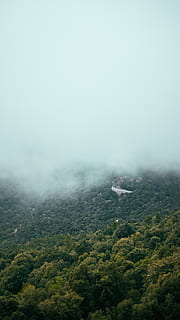 forest under clouds, spain, mallorca, road, mountain, tree, nature, fog, scenics - nature, tranquility, environment, land, beauty in nature, tranquil scene, no people, landscape, day, plant, non-urban scene, sky, forest, aerial view, green color, copy space, outdoors, 2K, CC0, public domain, royalty free