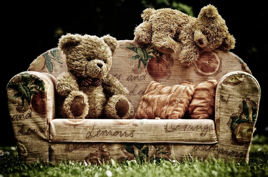 orso, divano, orsi, dolce, carina, felpa, orsacchiotto, divertente, accogliente, rilassarsi, giocattoli, bambini, giocare, orsacchiotto di peluche, pupazzo di pezza, giocattolo, rappresentazione animale, mammifero, nessuno, rappresentazione, arte e artigianato, animale, temi animali, giorno, pianta, avvicinamento, erba, natura, mestiere, all'aperto, rilassamento, creatività, morbidezza, 4K