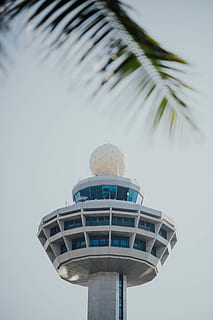 hvitt tårn, bygning, tårn, arkitektur, kontrolltårn, palmetre, Arecaceae, anlegg, tre, by, Urban, metropolis, nabolag, gelender, håndtak, planetarium, kontorbygg, transport, passasjerfly, fly, lav vinkel visning, natur, bygget struktur, bygge eksteriør, tropisk klima, himmel, ingen folk, dag, utendørs, høy - høy, klar himmel, grønn farge, blad, palmblad, 8K, CC0, offentlig domene, opphavsrett gratis