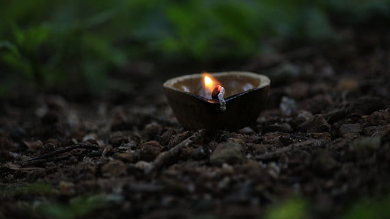 luci di candela, candela, luce, Diwali, ardente, fuoco, fiamma, fuoco - fenomeno naturale, natura, calore - temperatura, nessuno, illuminato, avvicinamento, messa a fuoco selettiva, religione, all'aperto, terra, pianta, raggiante, celebrazione, spiritualità, luminosità, 5K, CC0, dominio pubblico, privo di copyright