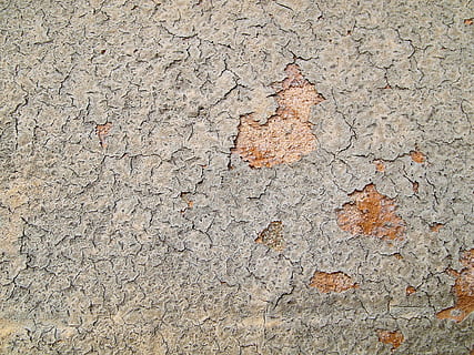 superfície grisa, sòl, textura, catifa, concret, rock, asfalt, tar, fang, full, planta, cor, pis, paret, mapa, diagrama, invertebrat, insecte, animal, fons, marc complet, cap gent, aspre, funció de construcció de parets, resistent, dia, estructura construïda, primer pla, arquitectura, vell, esquerdat, patró, a l'aire lliure, espatllat, descamació, gris, mal estat, deteriorament, ciment, arruïnat, 2K, CC0, domini públic, lliure de regalies