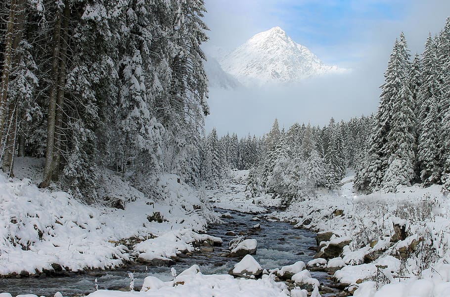 muntanya, neu, pic, núvol, cel, muntanyes, paisatge, hivern, alpí, naturalesa, fred, fusta, pi, panorama, Alps, Austràlia, alt, corrent, pedres, pedra, blau, temperatura de fred, arbre, bellesa a la natura, escenics - natura, planta, escena tranquil·la, tranquil·litat, Color blanc, cobertura, escena no urbana, dia, cap gent, congelat, medi ambient, muntanya nevada, neu en pols, 4K