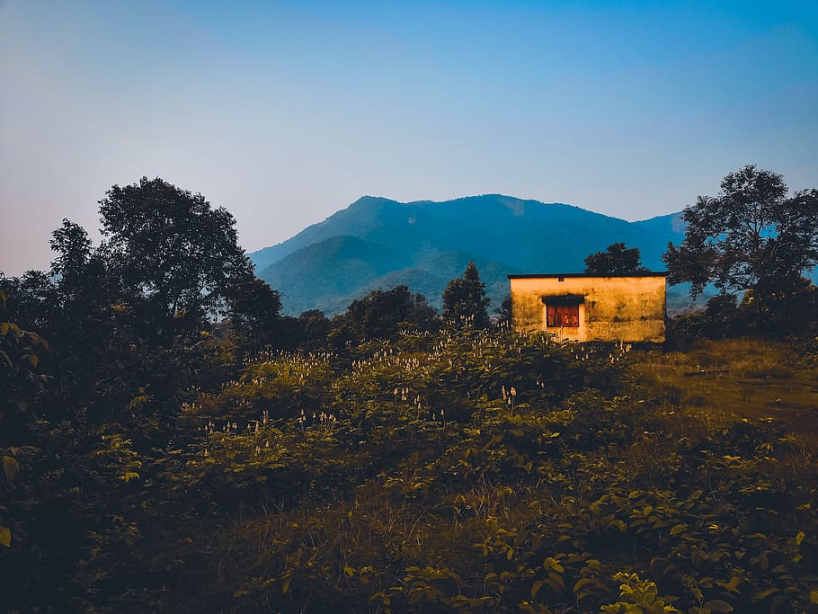 casa, arbres, de cara, Serra, cel blau, núvols, tarda, herba, vessant, paisatge, muntanyes, naturalesa, escènic, cel, posta de sol, boscos, planta, arbre, muntanya, arquitectura, edifici, estructura construïda, exterior de l'edifici, bellesa a la natura, escenics - natura, cap gent, creixement, terra, escena tranquil·la, tranquil·litat, medi ambient, a l'aire lliure, 4K