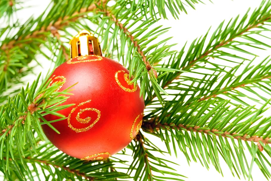 minge, Crăciun, , copac, ramură, brad, pin, sferă, nou, an, sticlă, vacanţă, glob de Craciun, celebrare, decor, roșu, a închide, Crăciun ornament, Culoarea verde, Brad de Crăciun, plantă, să se concentreze asupra primelor elemente, nici o persoana, un singur obiect, natură, eveniment de vacanță, 2K
