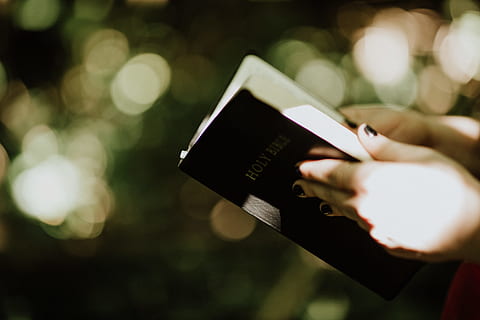 selettivo, fotografia a fuoco, persona, detenzione, santo, Bibbia, Sacre scritture, tenere, spada di Dio, Dio, lettura, leggere, studiando, libro, studia, religione, Chiesa, avvicinamento, cristianesimo, cristiano, mano, mano umana, donne, attività commerciale, defocused, tecnologia, persone, smart phone, all'aperto, cellulare, messa a fuoco selettiva, persona irriconoscibile, una persona, telefono, 5K, CC0, dominio pubblico, privo di copyright