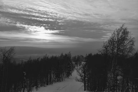 BW, sky, tree, plant, tranquility, beauty in nature, tranquil scene, cloud - sky, scenics - nature, no people, nature, non-urban scene, winter, bare tree, cold temperature, environment, land, outdoors, water, snow, 720P, CC0, public domain, royalty free