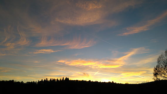 himmel, solnedgang, skyer, aften, skumring, Abendstimmung, tusmørke, atmosfære, taunus, Feldberg, atmosfærisk, aftenhimmel, sky - himmel, skønhed i naturen, silhuet, scenics - natur, rolig scene, træ, ro, plante, natur, ingen mennesker, ikke-urbane scene, idyllisk, landskab, vækst, lav vinkel visning, miljø, udendørs, jord, nåletræ, 4K, CC0, offentligt domæne, royaltyfrie