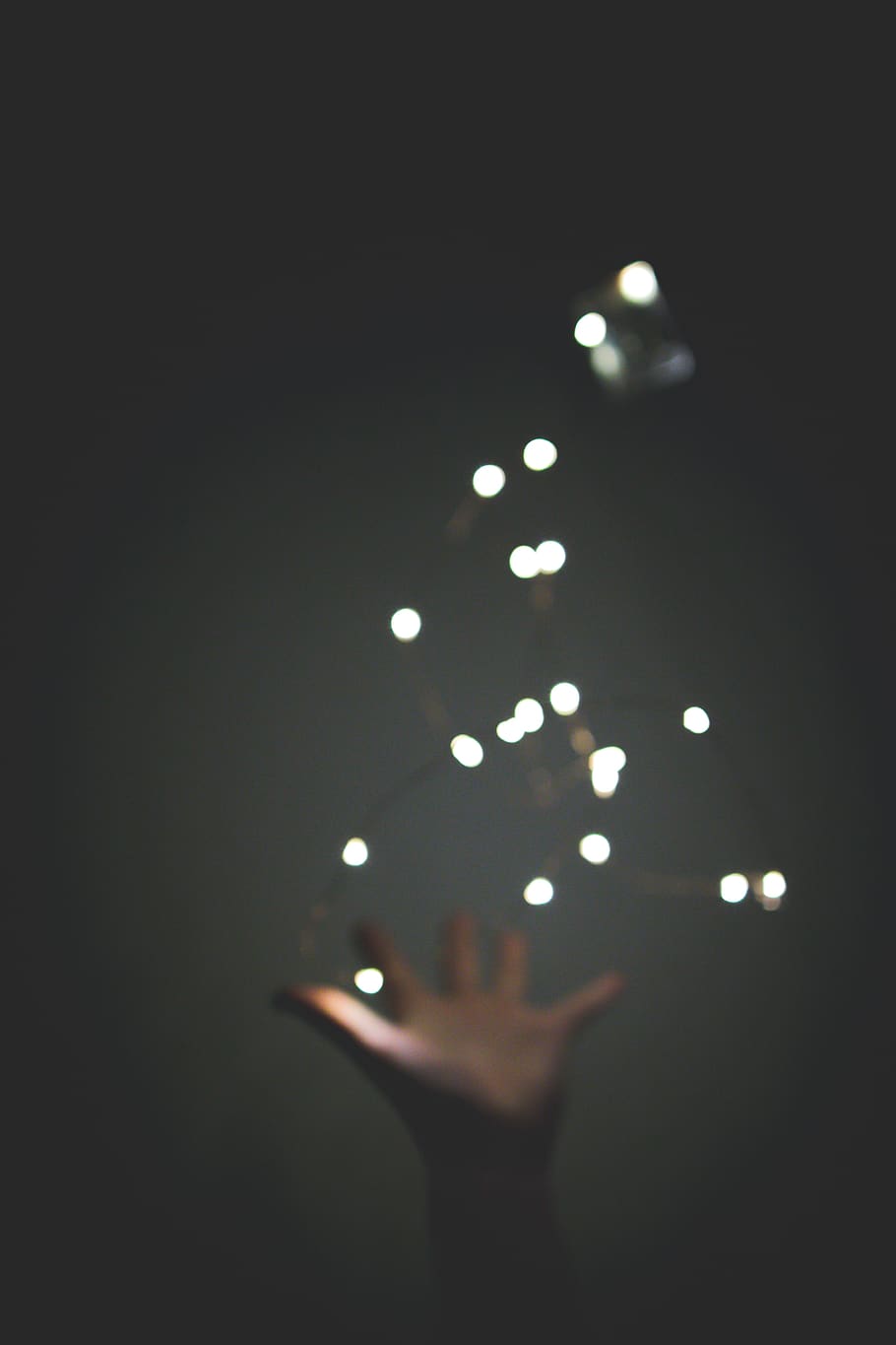 flamarada, llum, il·luminació, mà, pètal, flor, planta, art, cànon, sigma art, bokeh, llums, llum solar, maluc, pedres precioses, accessori, accessoris, joieria, diamant, mà humana, part del cos humà, il·luminat, una persona, equips d’il·luminació, part del cos, brillant, nit, persona irreconeixible, llum - fenomen natural, fons negre, braç humà, defocated, perspectiva personal, persones reals, naturalesa, vista d’angle baix, estils de vida, dit, braços aixecats, extremitat humana, 4K