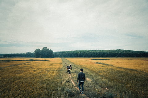 dykumoje, supertramp, feild, kraštovaizdį, Vietnamas, žemės, lauke, augalų, pobūdį, dangus, aplinką, vyrai, žolė, debesis - dangus, grožis gamtoje, ne miesto scenoje, realūs žmonės, dieną, vaizdai - gamta, suaugusiųjų, vienas asmuo, ramioje scenoje, medis, Fotografas, 5K, CC0, Viešasis domenas, nemokamai
