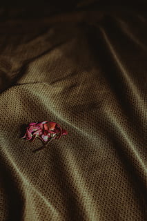 tekstil coklat, seni, kain, warna, gelap, mode, bunga-bunga, cinta, retro, satin, tekstil, tekstur, bertekstur, vintage, memakai, merapatkan, tidak ada orang, dalam ruangan, bunga, tanaman berbunga, bingkai penuh, merah, tampilan sudut tinggi, pola, menanam, bahan, latar belakang, pakaian, kerentanan, kerapuhan, masih hidup, linen, keindahan di alam, 5K, CC0, domain publik, bebas royalti