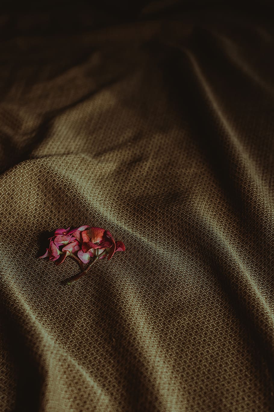 brunt tekstil, kunst, klæde, farve, mørk, stof, mode, blomster, kærlighed, retro, satin, tekstil, struktur, tekstureret, årgang, have på, tæt på, ingen mennesker, indendørs, blomst, blomstrende plante, fuld ramme, rød, høj vinkel visning, mønster, plante, materiale, baggrunde, tøj, sårbarhed, skrøbelighed, stilleben, linned, skønhed i naturen, 5K