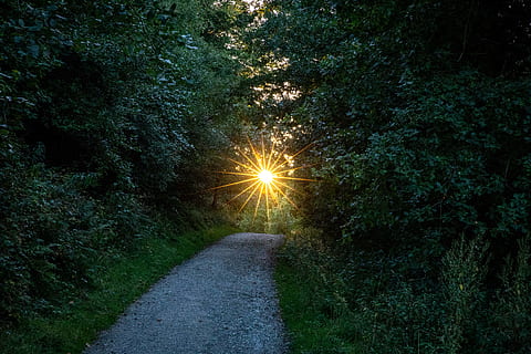 els raigs del sol, arbres, carretera, llum, flamarada, Camí, Carretera bruta, grava, asfalt, ruta, llum solar, passarel·la, sortida del sol, cel, naturalesa, a l'aire lliure, paviment, vorera, holandès, faro, bombeta, planta, arbre, el camí a seguir, direcció, creixement, cap gent, tranquil·litat, terra, bellesa a la natura, transport, escena tranquil·la, sol, bosc, sendera, perspectiva decreixent, escenics - natura, 5K, CC0, domini públic, lliure de regalies
