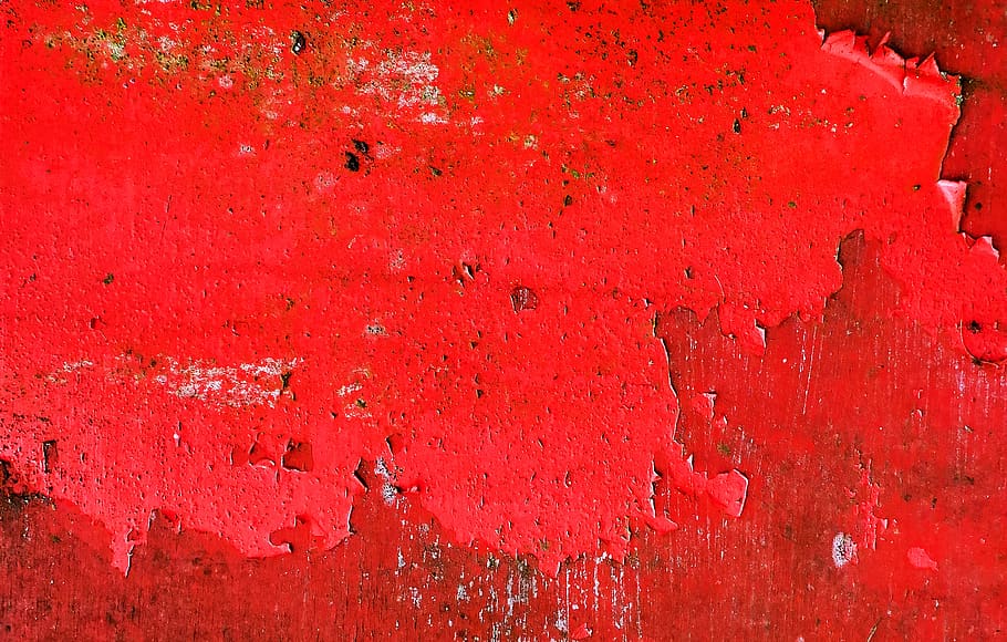 struttura, parete, ruggine, testo, arte, alfabeto, arte Moderna, mangiatore di api, animale, uccello, calcestruzzo, modello, insetto, insetto di cricket, invertebrato, moda, etichetta, maniglia, carta, cardinale, rosso, caratteristica della parete, sfondi, fotogramma intero, intemperie, avvicinamento, nessuno, strutturato, struttura costruita, sbucciare, danneggiato, architettura, dipingere, sporco, giorno, vecchio, corri giù, colore vibrante, esterno dell'edificio, astratto, 2K