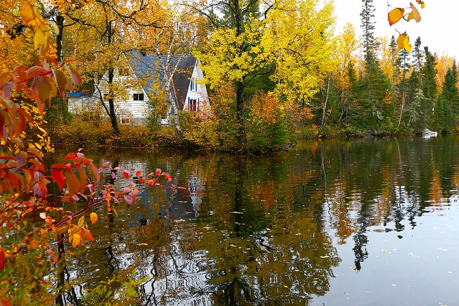 landskab, efterår, natur, refleksioner, farver, træer, sø, grene, hus, træ, orange, atmosfærisk, Québec, Canada, vand, afspejling, lave om, plante, skønhed i naturen, bygget struktur, ro, bygning, vækst, bygning udvendig, arkitektur, havnefronten, ingen mennesker, dag, plante del, udendørs, efterårssamling, 5K