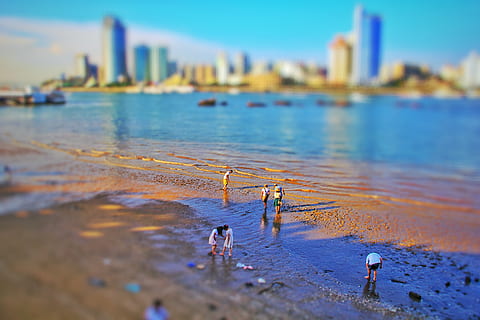 spiaggia, micro paesaggio, acqua, città, architettura, struttura costruita, esterno dell'edificio, cielo, terra, mare, costruzione, natura, grattacielo, edificio per uffici esterno, giorno, paesaggio, all'aperto, nessuno, skyline urbano, concentrarsi sulle conoscenze acquisite, 5K, CC0, dominio pubblico, privo di copyright