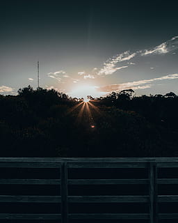 amazonia, amason, amazonas, solnedgång, skog, himmel, växt, träd, skönhet i naturen, Sol, solljus, natur, inget folk, scenics - natur, lugn, lugn plats, landa, räcke, silhuett, moln - himmel, utomhus, linsflare, icke-urbana scenen, solstråle, 5K, CC0, offentligt domän, royaltyfria