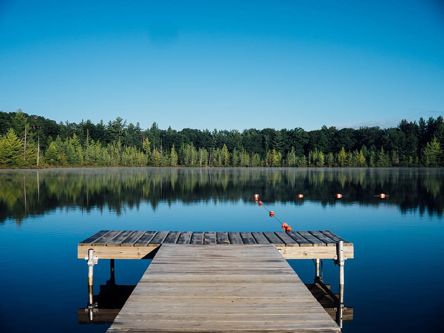 dok, jezero, voda, odraz, stromy, les, venku, Příroda, krajina, modrý, nebe, letní, chalupa, venkovský, venkov, strom, molo, rostlina, scenics - příroda, krása v přírodě, klidné scény, klid, dřevo - materiál, den, čisté nebe, nikdo, mimoměstské scény, 4K