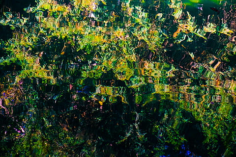 Durcheinander, Verwechslung, Emotion, Muster, Tapete, Stimmung, Wasser, abstrakt, Flüssigkeit, Textur, tief, Natur, Grün, Pflanze, Wachstum, Schönheit in der Natur, Vollbild, keine Leute, grüne Farbe, Tag, Blatt, Pflanzenteil, Hintergründe, Frische, draußen, Baum, Ruhe, Sonnenlicht, Land, Blume, Nahansicht, blühende Pflanze, 4K, CC0, gemeinfrei, lizenzfrei