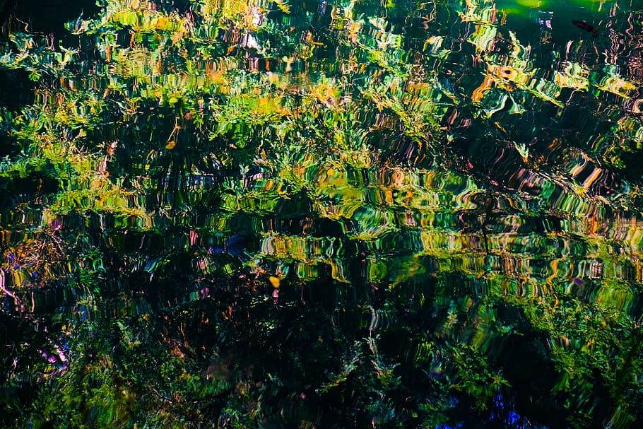 Durcheinander, Verwechslung, Emotion, Muster, Tapete, Stimmung, Wasser, abstrakt, Flüssigkeit, Textur, tief, Natur, Grün, Pflanze, Wachstum, Schönheit in der Natur, Vollbild, keine Leute, grüne Farbe, Tag, Blatt, Pflanzenteil, Hintergründe, Frische, draußen, Baum, Ruhe, Sonnenlicht, Land, Blume, Nahansicht, blühende Pflanze, 4K