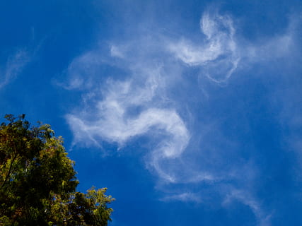copac verde, natură, în aer liber, vreme, cer, azur cer, cumulus, nor, plantă, copac, dragoni, nori, decor, vegetație, semnal luminos, ușoară, arhitectură, clădire, turn, mediu rural, de munte, nor - cer, albastru, nici o persoana, frumusețe în natură, scenice - natura, vedere unghiulară joasă, zi, liniște, o scenă liniștită, mediu inconjurator, fundaluri, lumina soarelui, spațiu copie, vârful copacului, de mai sus, meteorologie, wispy, 2K, CC0, domeniu public, fără drepturi de autor