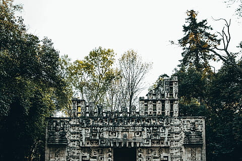 ancient, temple, forest, surrounded, trees, architecture, heritage, historic, history, monastery, monument, old, religion, rock, sky, structure, tourism, tree, antiquities, building, civilization, culture, door, faith, jungle, medieval, murals, root, roots, ruins, spirituality, stone, travel, plant, built structure, building exterior, day, nature, the past, no people, belief, place of worship, travel destinations, low angle view, outdoors, ancient civilization, ruined, 2K, CC0, public domain, royalty free