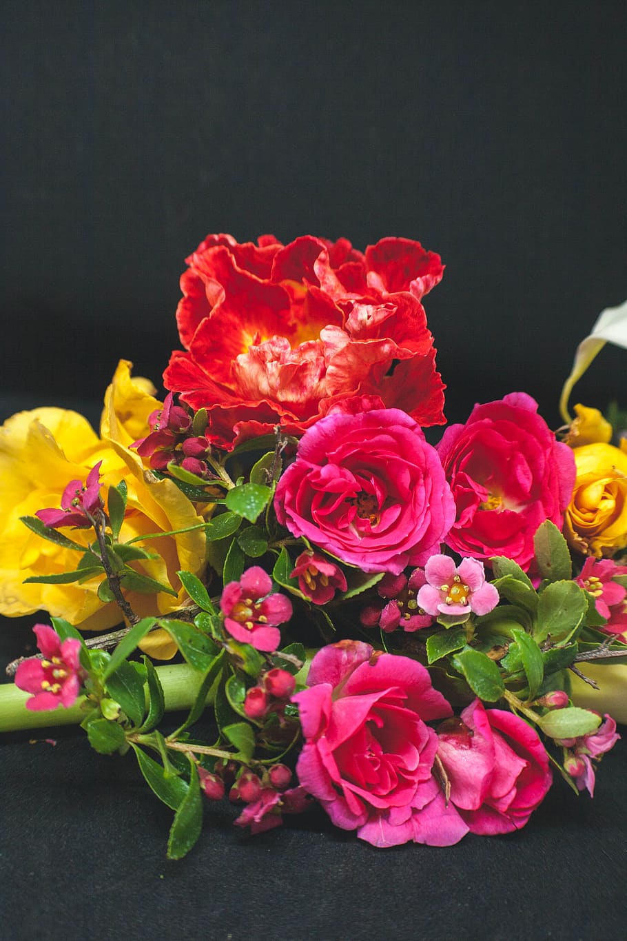 Foto, assorteret, blomster, sort, overflade, smuk, sort baggrund, flor, blomstrende, blomstre, buket, lyse, farver, delikat, flora, blomster buket, kærlighed, kronblade, romantik, romantisk, roser, blomst, blomstrende plante, skønhed i naturen, skrøbelighed, friskhed, sårbarhed, blomsterhoved, plante, blomster arrangement, kronblad, Rose, rosenblomst, tæt på, blomsterstand, natur, indendørs, multi farvet, studio skud, ingen mennesker, flok blomster, 2K