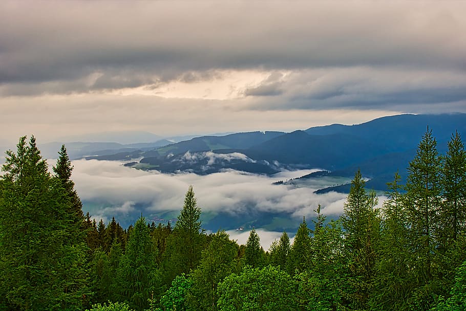 Nebel, Bäume, Wald, Landschaft, Natur, Herbst, szenisch, Dunst, Stimmung, Wandern, farblos, morgenstimmung, Steiermark, Österreich, Morgen, Tapete, Schönheit in der Natur, Baum, Himmel, Szenen - Natur, wolke - himmel, Berg, Pflanze, ruhige Szene, Ruhe, Wachstum, Nicht-städtische Szene, idyllisch, keine Leute, grüne Farbe, Umgebung, Gebirge, Land, draußen, Nadelbaum, 5K