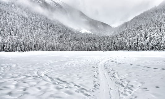 ren, skyer, overskyet, kold, Skov, ze, frost, frost-, Frosset, is, sø, landskab, pathway, fredelig, fyrretræ, vej, landdistrikterne, scene, naturskøn, stilhed, enkel, ski, sne, vinter, kold temperatur, bjerg, scenics - natur, plante, ro, jord, rolig scene, natur, miljø, træ, skønhed i naturen, hvid farve, himmel, ingen mennesker, nåletræ, udendørs, snedækket bjerg, fyrreskov, sner, 2K, CC0, offentligt domæne, royaltyfrie