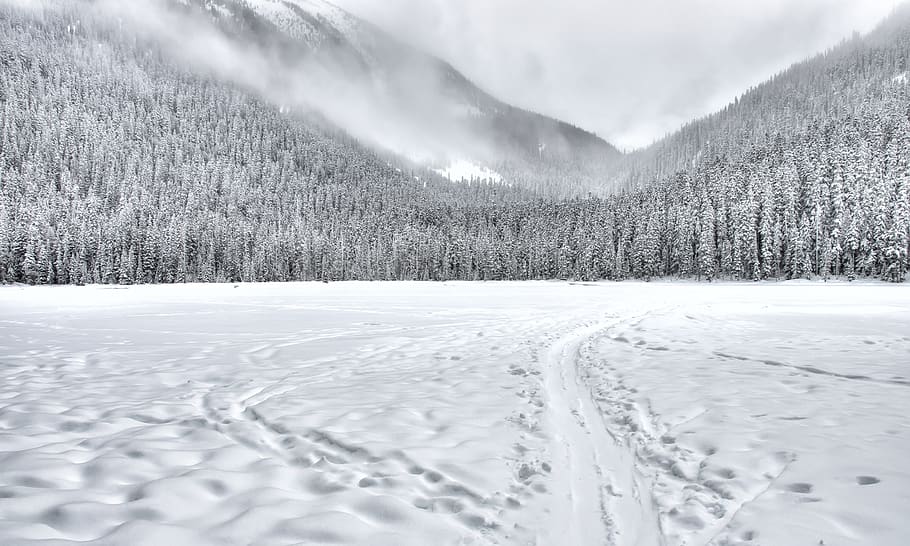 ren, skyer, overskyet, kold, Skov, ze, frost, frost-, Frosset, is, sø, landskab, pathway, fredelig, fyrretræ, vej, landdistrikterne, scene, naturskøn, stilhed, enkel, ski, sne, vinter, kold temperatur, bjerg, scenics - natur, plante, ro, jord, rolig scene, natur, miljø, træ, skønhed i naturen, hvid farve, himmel, ingen mennesker, nåletræ, udendørs, snedækket bjerg, fyrreskov, sner, 2K