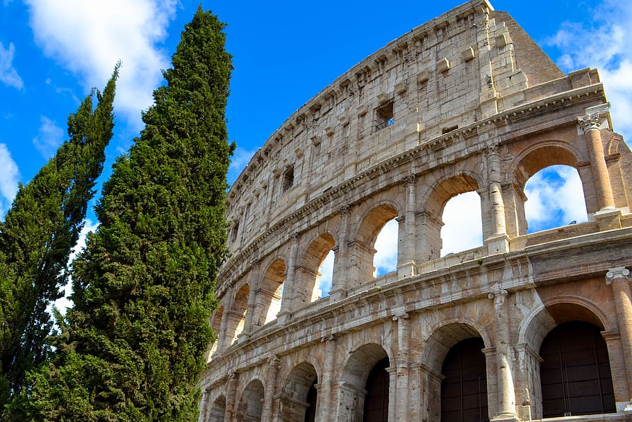 museu pintat de gris, edifici, arquitectura, castell, Itàlia, Coliseu, Roma, fort, arqueologia, arc, arquejat, columna, pilar, cúpula, Palmera, arecaceae, arbre, planta, ruïnes, monument, avet, història, el passat, amfiteatre, antiga ruïna, estructura construïda, destinacions de viatge, turisme, antic, viatjar, vista d’angle baix, cel, naturalesa, cultura i entreteniment artístic, exterior de l'edifici, dia, cap gent, civilització antiga, a l'aire lliure, història antiga, columna arquitectònica, arruïnat, 2K